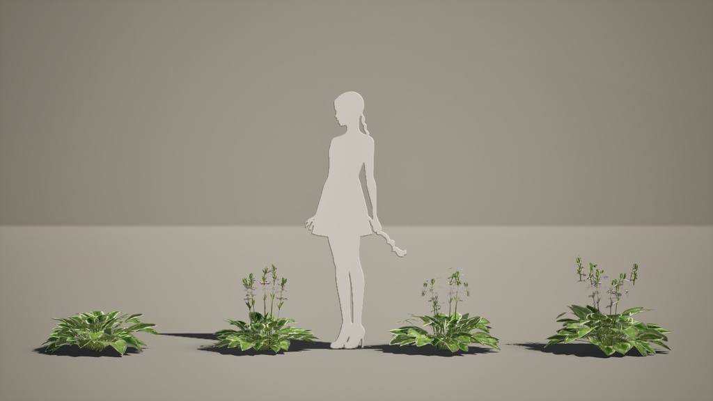 Street garden in Japanシリーズ, 4 ギボウシ