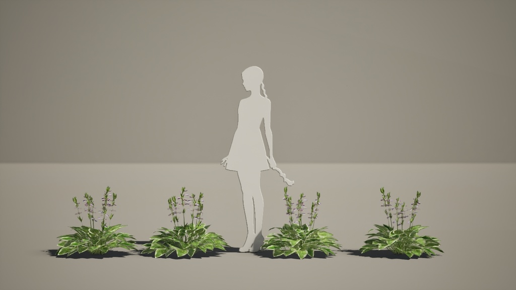 Street garden in Japanシリーズ, 4 ギボウシ