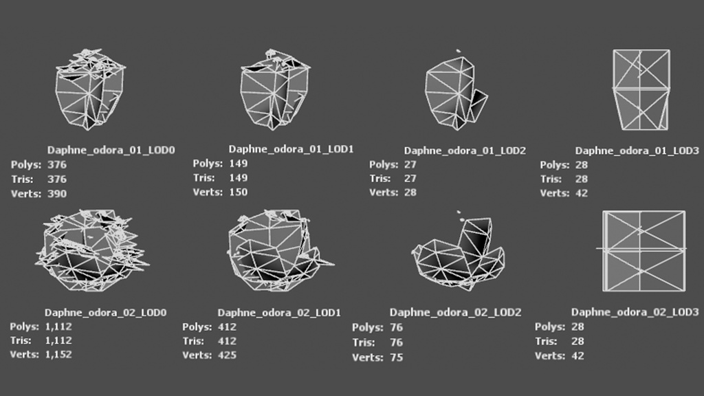Street garden in Japanシリーズ, 4 ジンチョウゲ,パフュームプリンセス