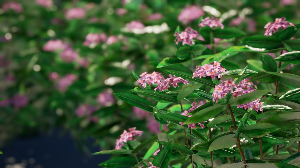 Street garden in Japanシリーズ, 4 ジンチョウゲ,パフュームプリンセス