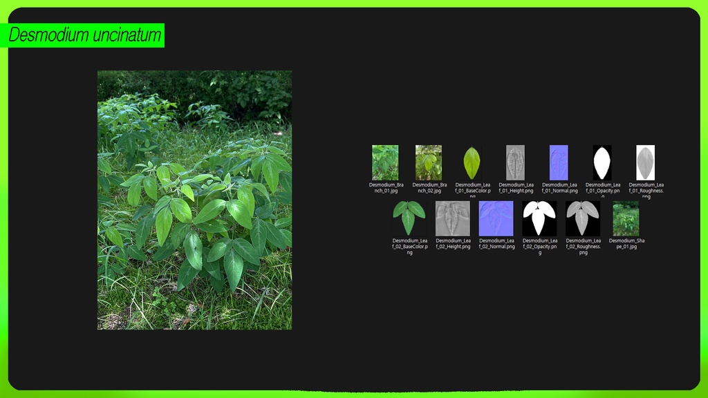 PLANT IMAGE PACK 01 - 5 日本の街角植物