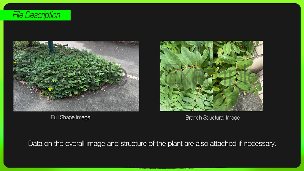 PLANT IMAGE PACK 01 - 5 日本の街角植物