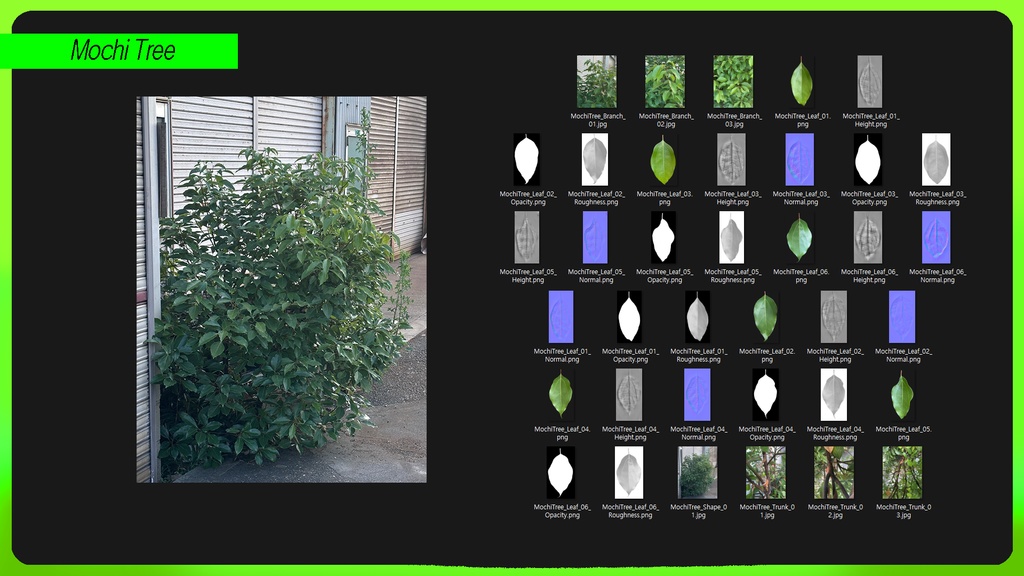 PLANT IMAGE PACK 01 - 5 日本の街角植物