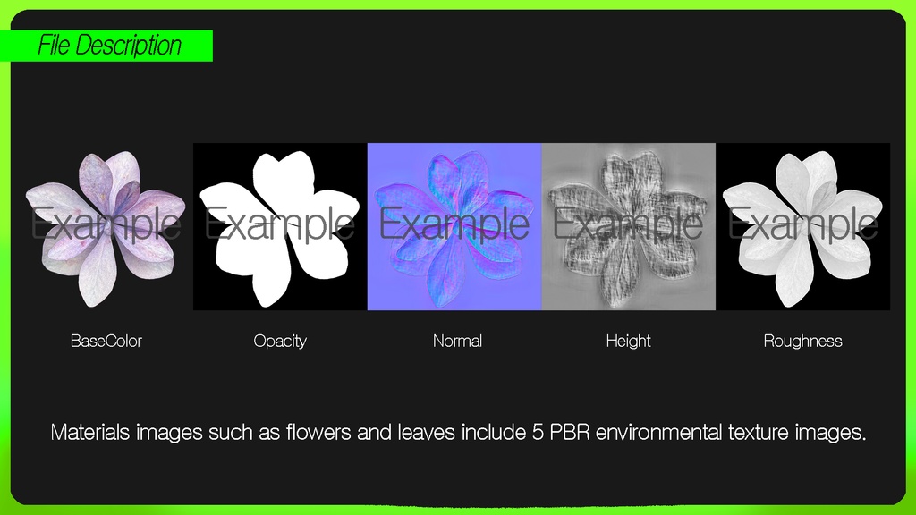 PLANT IMAGE PACK 01 - 5 日本の街角植物