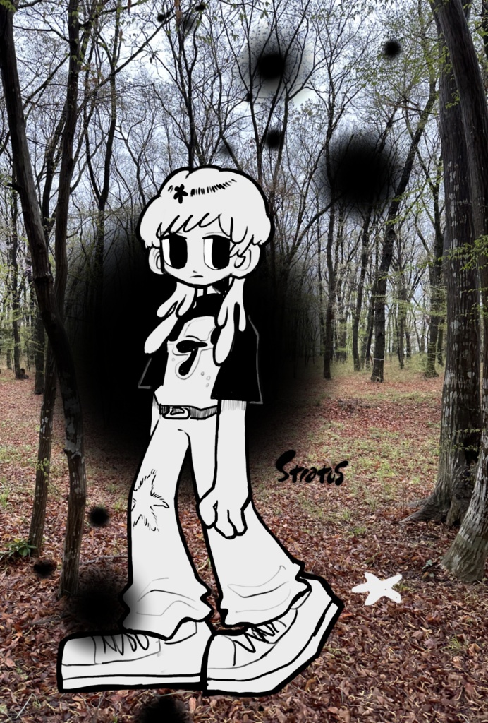 Postcard・dark forest