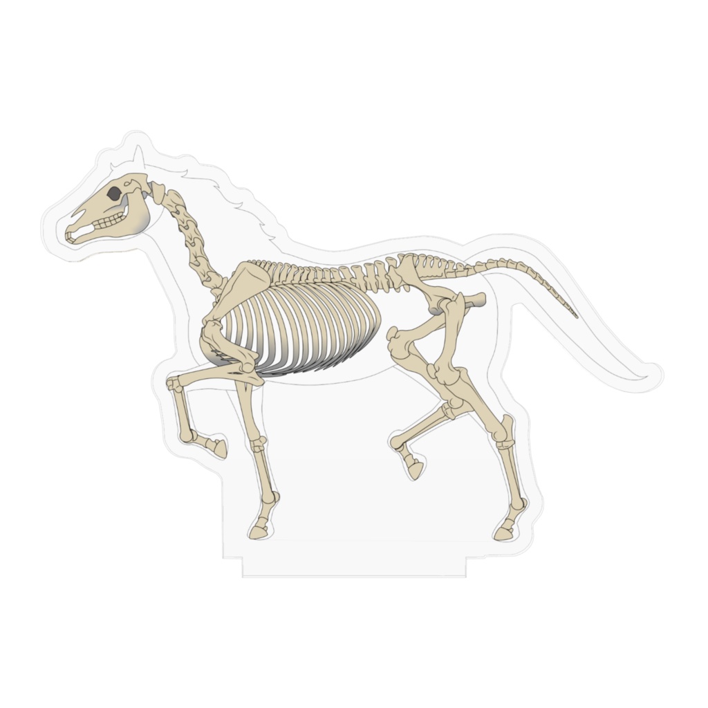 Trotting Skeleton