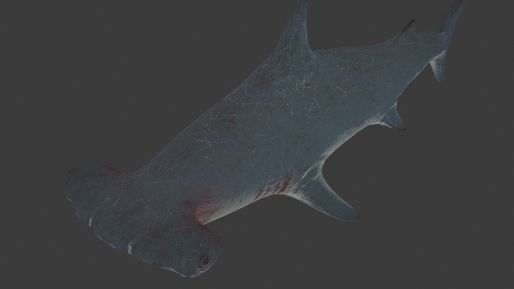 3Dハンマーヘッドシャーク