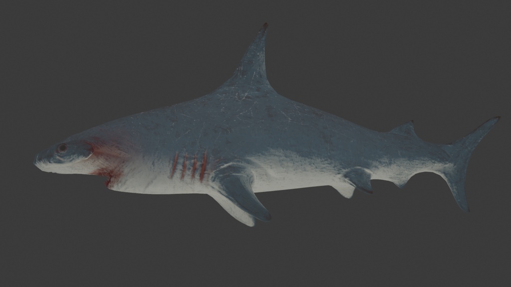3Dハンマーヘッドシャーク