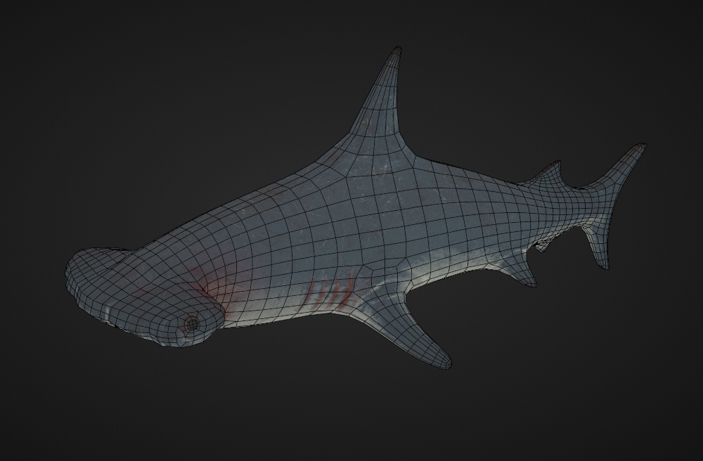 3Dハンマーヘッドシャーク