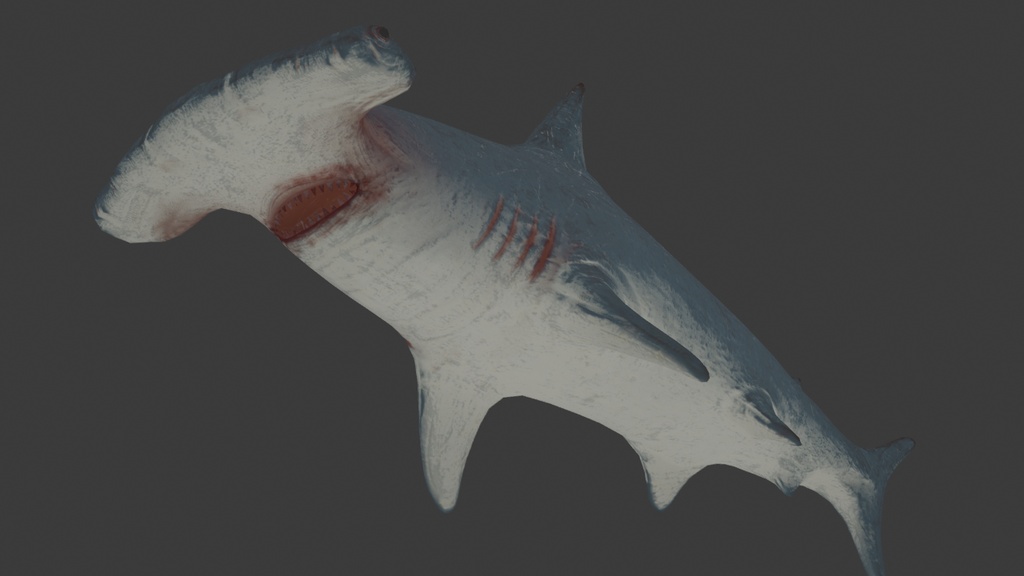 3Dハンマーヘッドシャーク