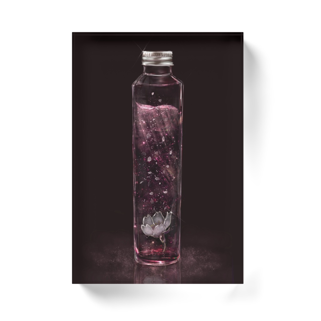 春の日差しと季節の花