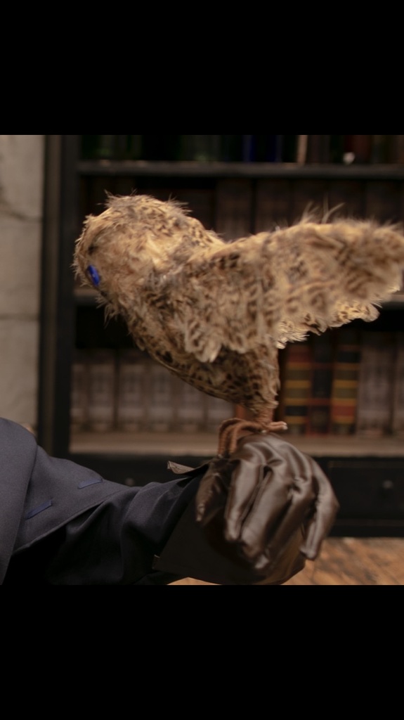 ぽっぽちゃん/フクロウ