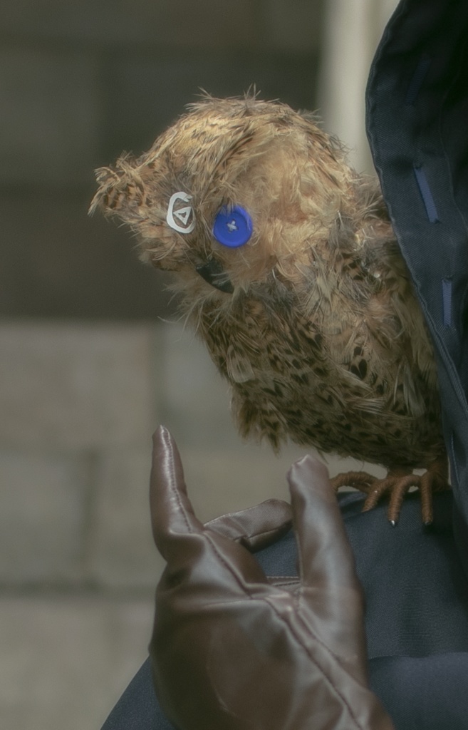 ぽっぽちゃん/フクロウ