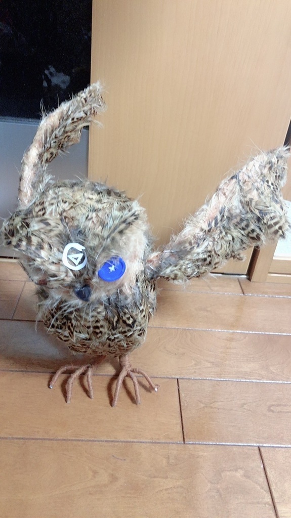 ぽっぽちゃん/フクロウ