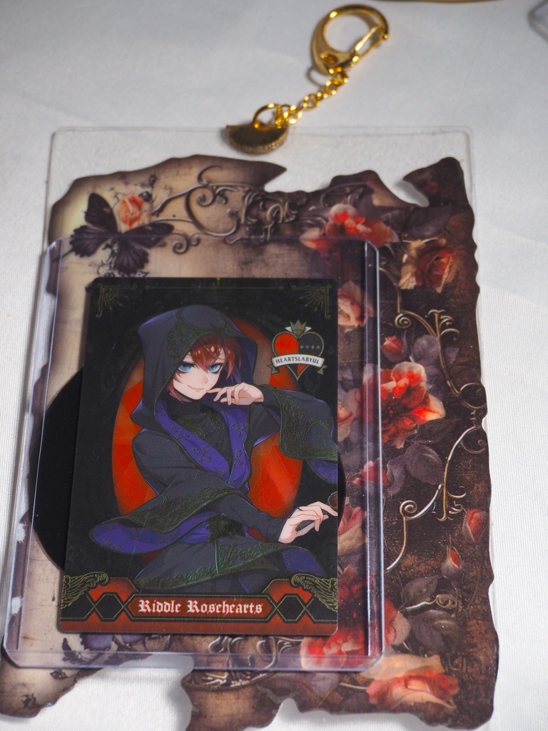  Ｂ８硬質ケース 　【クラシカル】　パネルタイプ_ツイステ_ハズビンホテル