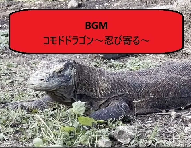 BGM『コモドドラゴン～忍び寄る～』　緊迫する雰囲気