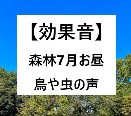 【効果音】森林の中で鳥や虫の声(7月お昼に3種類のマイクで収音)