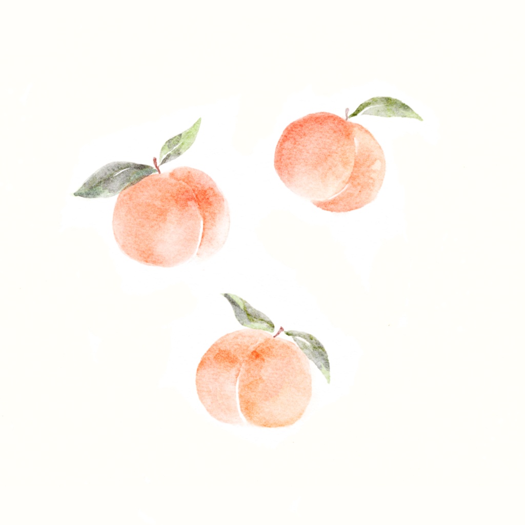 【Procreate】水彩ブラシセット13種