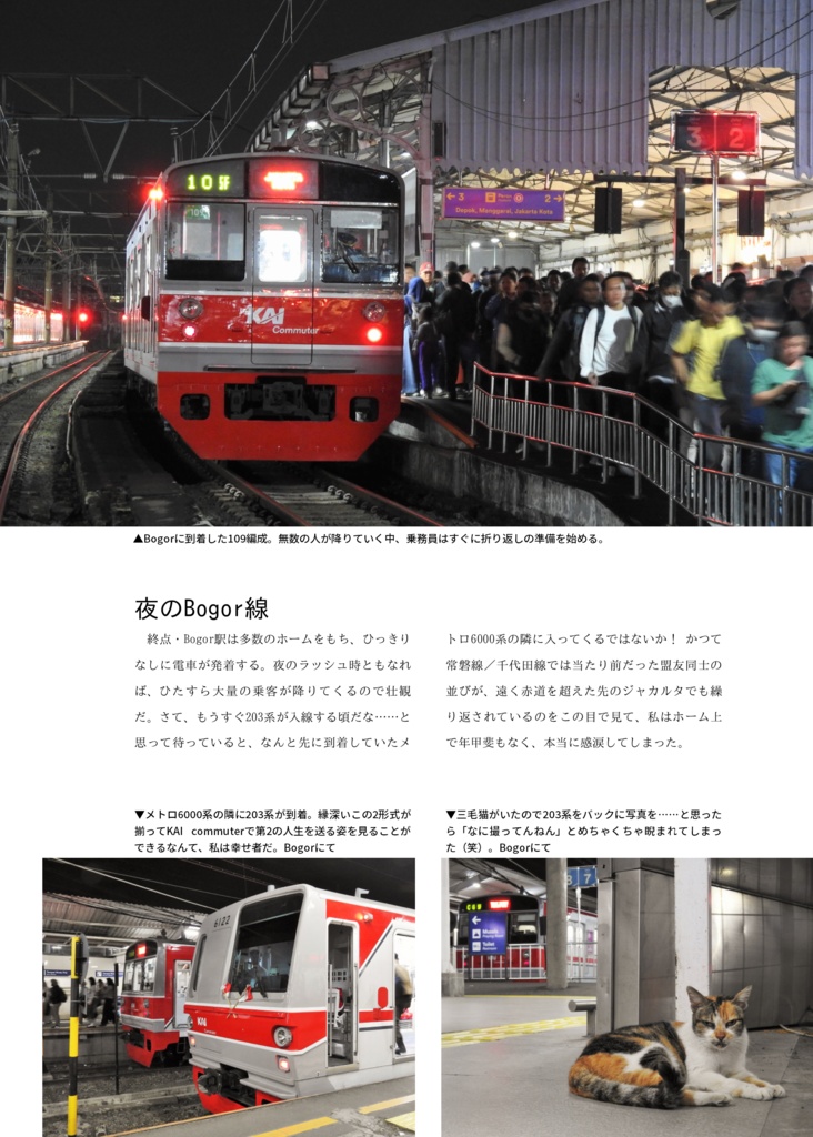 Are your doors still fluttering? 君のドアはまだバタついているか:フィリピン/インドネシアの203系