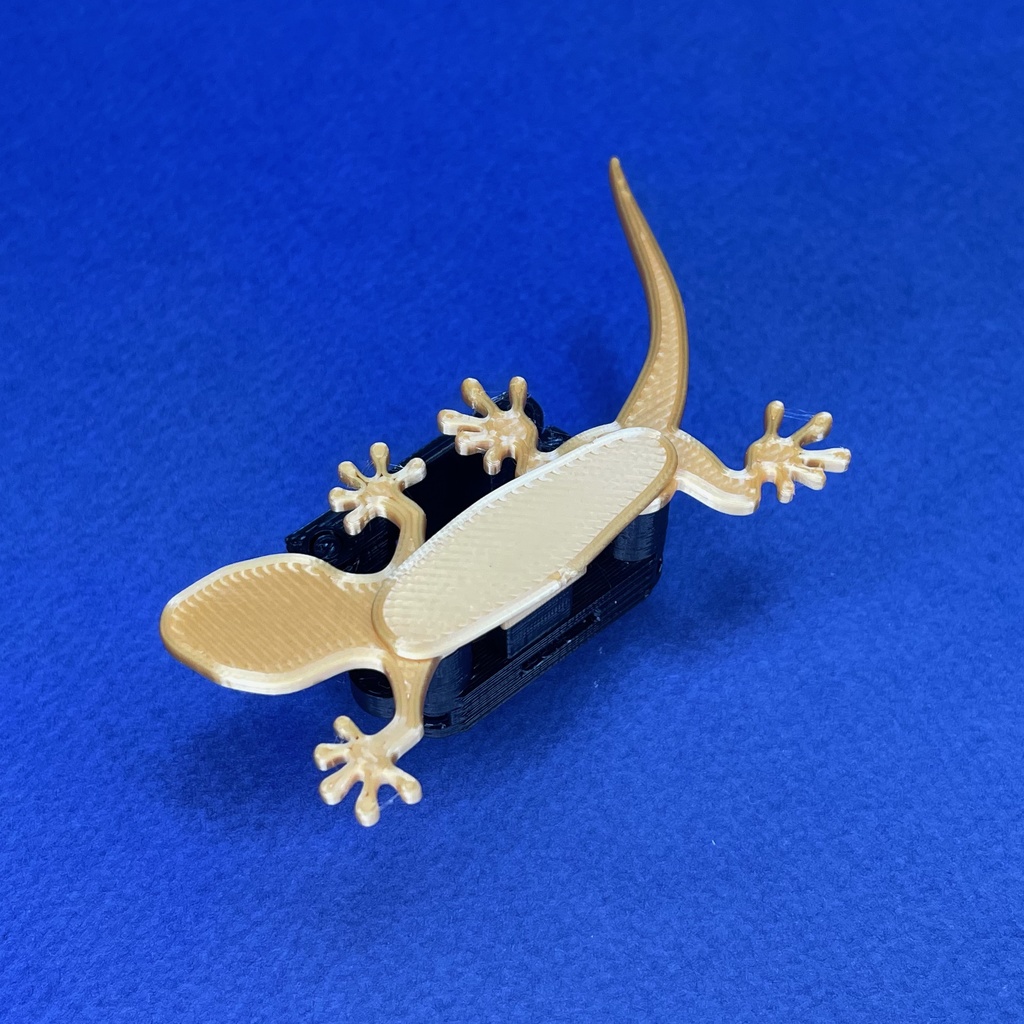 ちょろちょろヤモリ　Crawling gecko