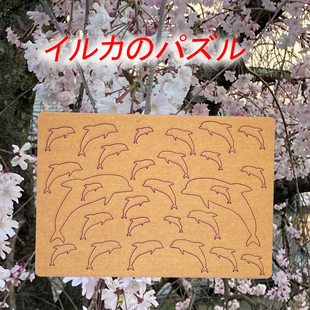 イルカのパズル