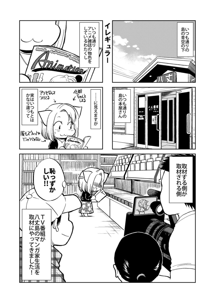 【島暮らしエッセイ4コマ】流されて八丈島+α