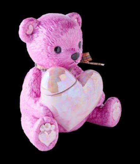 テディ　カンパ