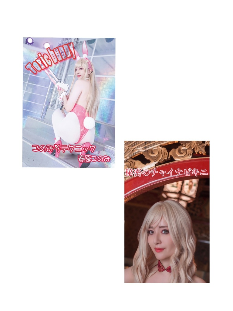 コスホリ40新刊セット(Toxic bunny&Chinese bikini set)
