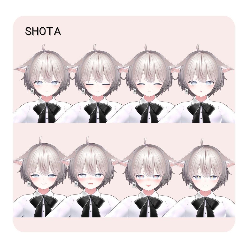 FACE Animation SET For Shinano しなの