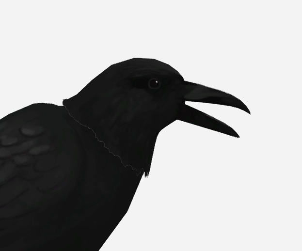 【VRM】ガチカラスアバター