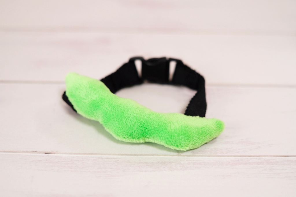 えだまめ、ねぎ