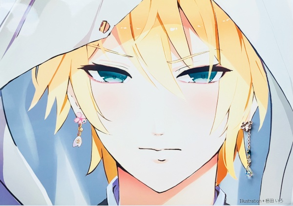 刀剣乱舞 イメージ 初期刀 堀川 沖田組 土方組 兼定 一文字 肥前忠広 古備前 片耳 ピアス ノンホールピアス さくらきらしずく