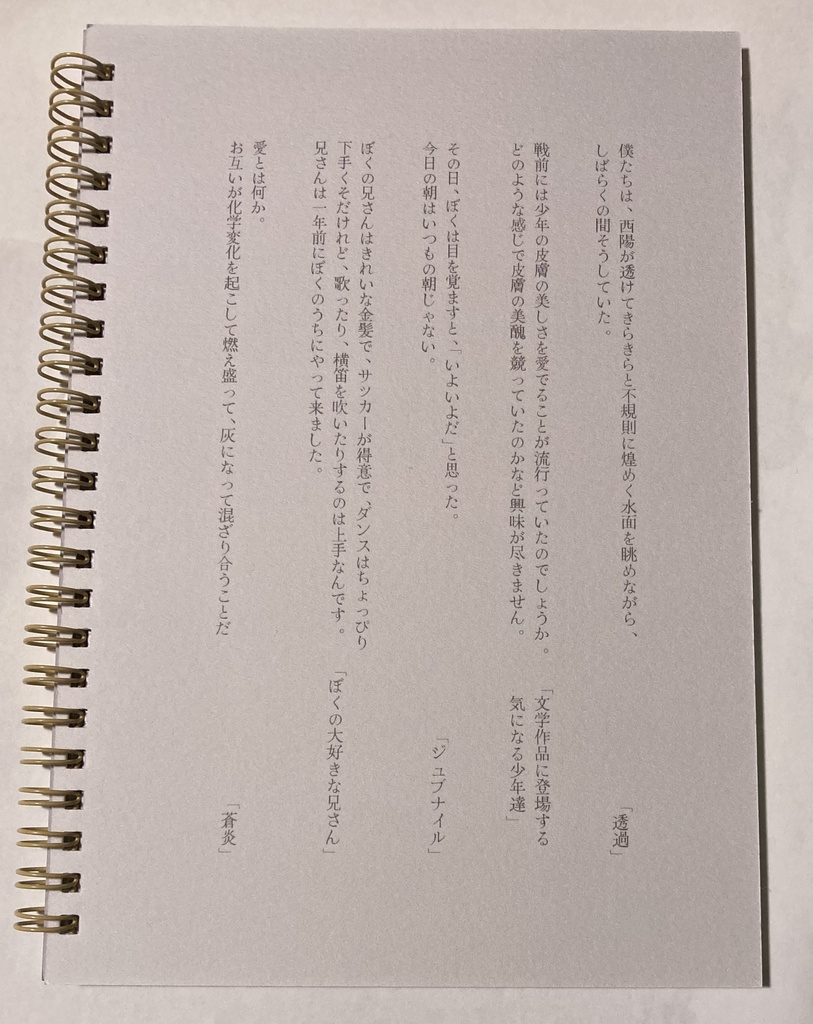 美少年合同誌・少年の小窓