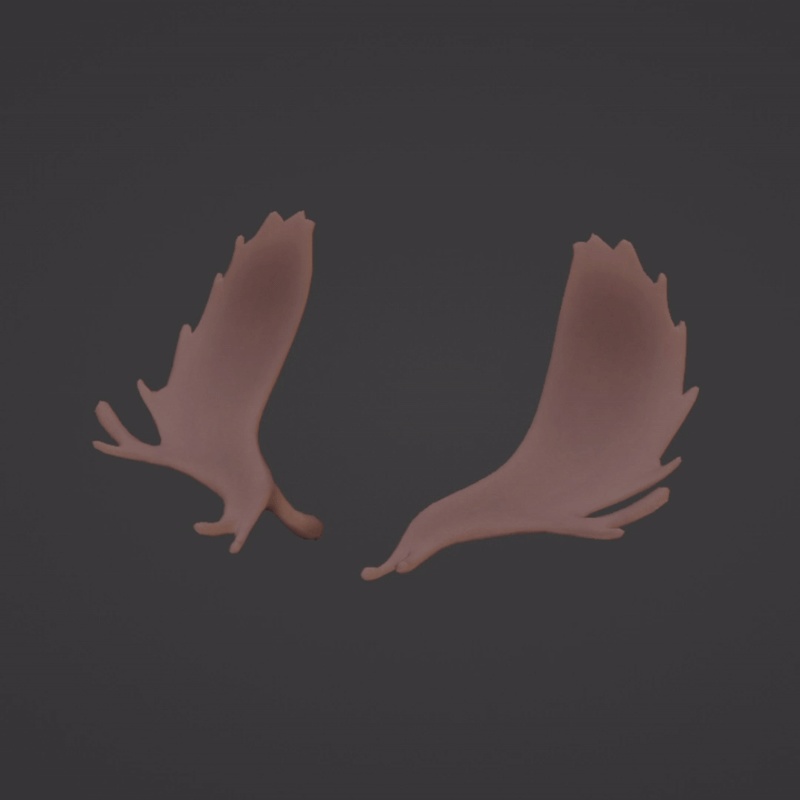 ヘラジカの角 Moose Antlers