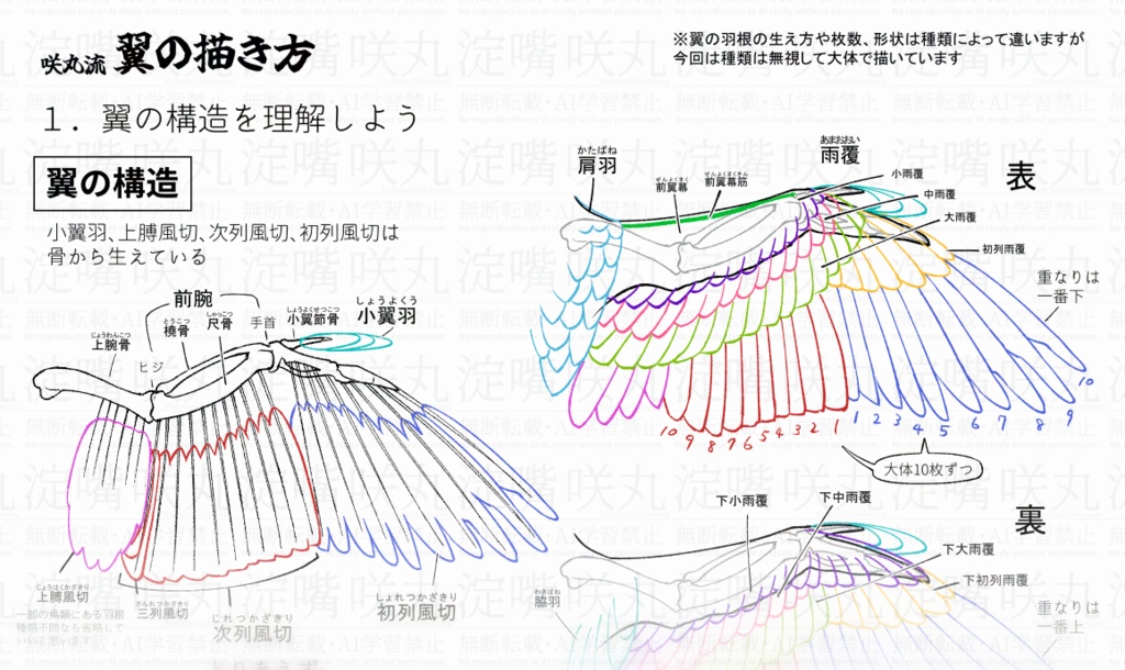 咲丸流翼の描き方1