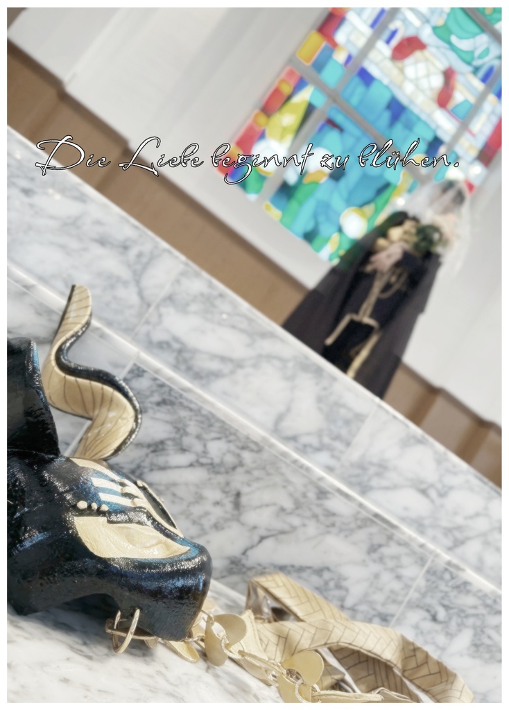 エーテルネーア写真集