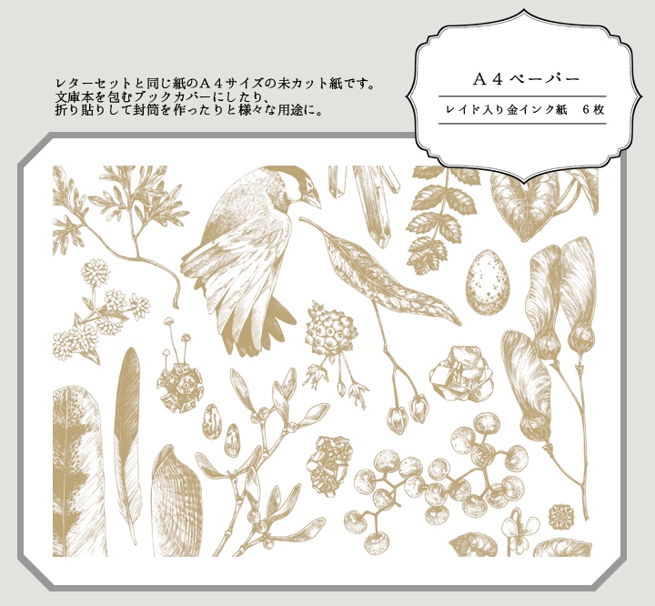 蒐集A4ペーパー