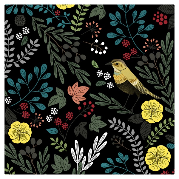 眼鏡拭きクロス