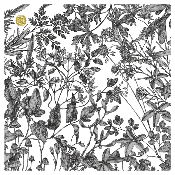 眼鏡拭きクロス