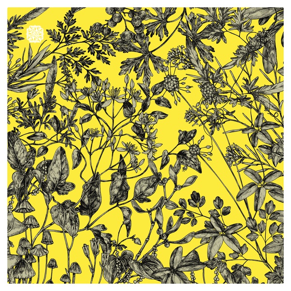 眼鏡拭きクロス