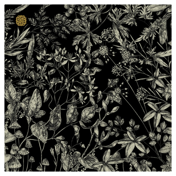 眼鏡拭きクロス