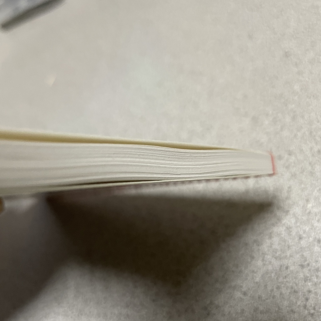 試作品 ライトノベル同人誌用”和綴じ”自家製本 A6 白紙