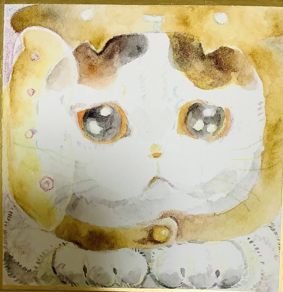 猫の絵 146 水彩画 原画 白猫 - 絵画