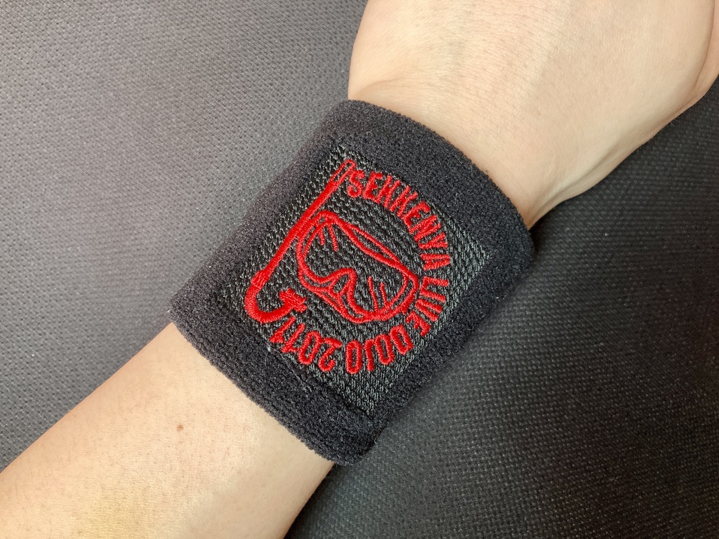 石鹸屋 LIVE DOJO 2011 不撓不屈のマグマーダイバー リストバンド