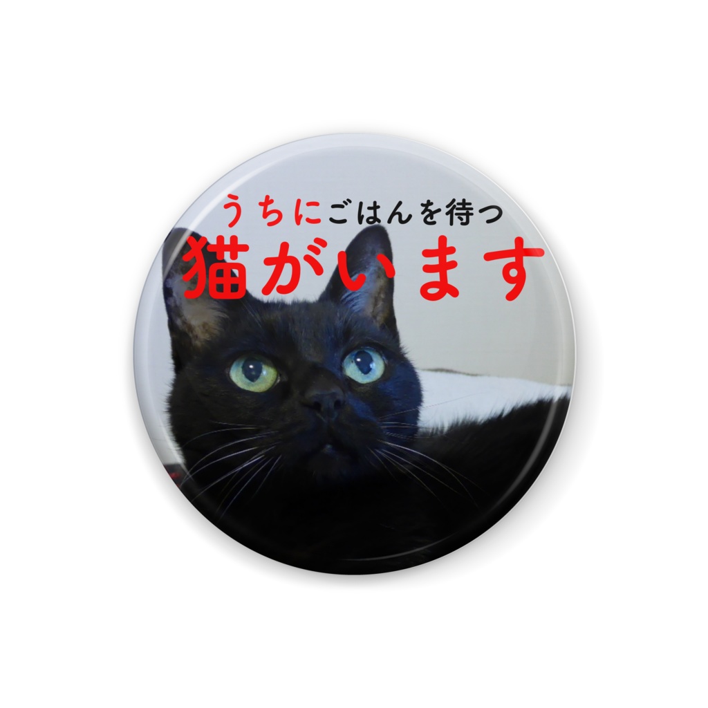 猫がいます缶バッジ（黒猫クーちゃん）