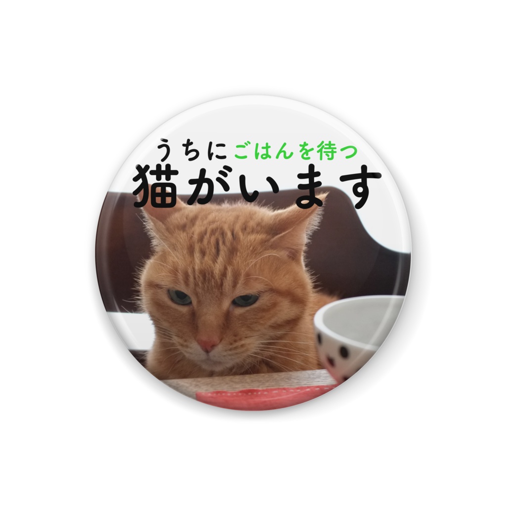 猫がいます缶バッジ(不機嫌な茶トラ)