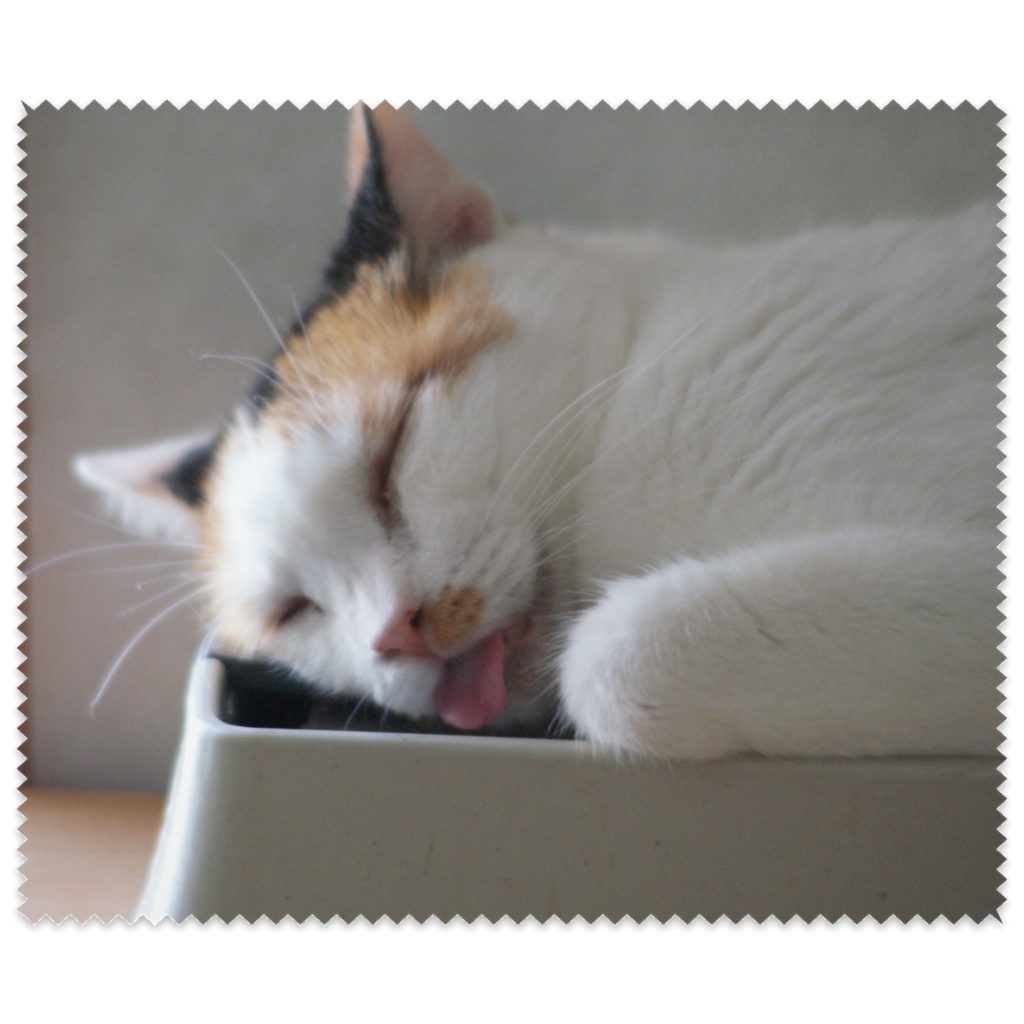 ゆきちゃんのマイクロファイバークロス