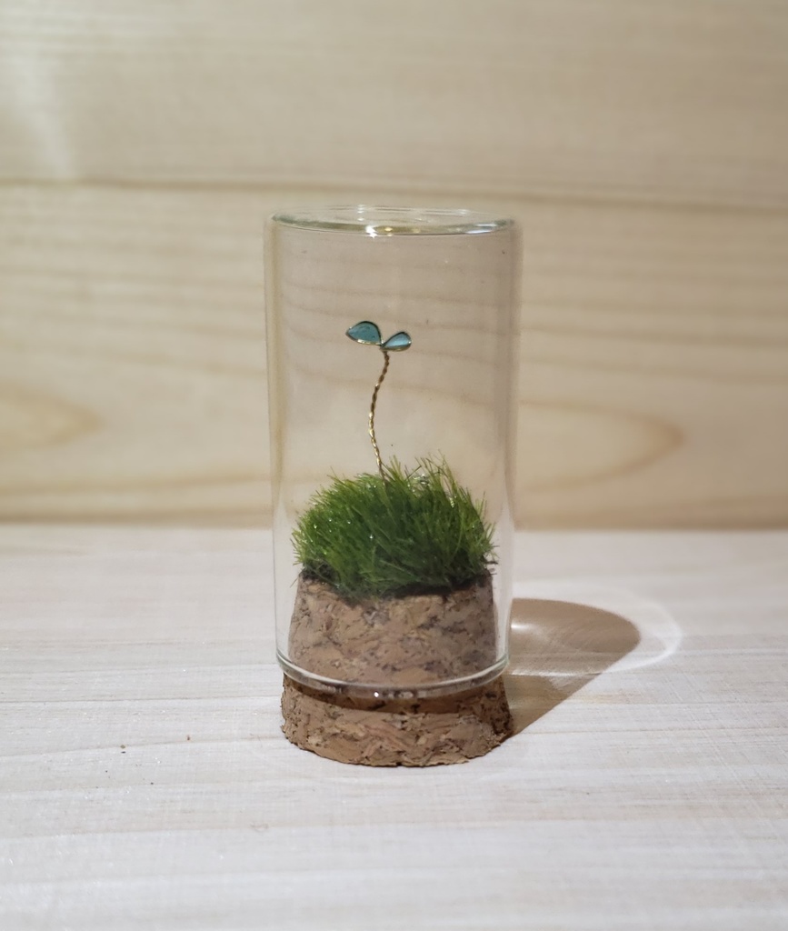 新芽の小瓶