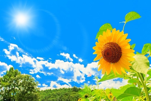 【メンバーが考える夏シチュエーション】【1分30秒】※メンバーが選べます。