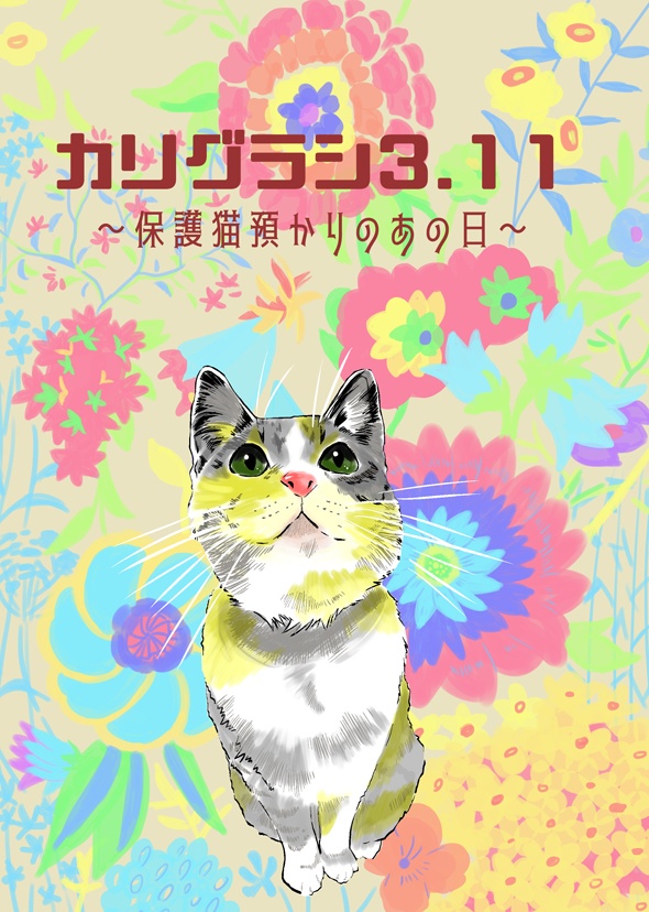 カリグラシ3.11～保護猫預かりのあの日～